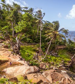 Backpacking the Caribbean's Only Thru-Hiking Trail in Dominica