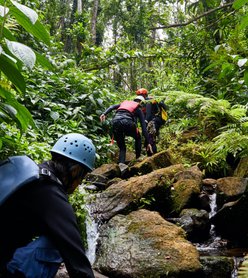 Explore In Our Nature: Top Five Dominica Hiking Adventures